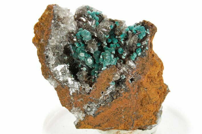 Calcite with Teal Blue Rosasite - Mexico #372272